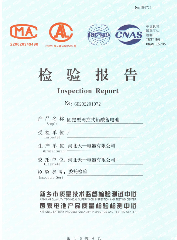 Inspection report