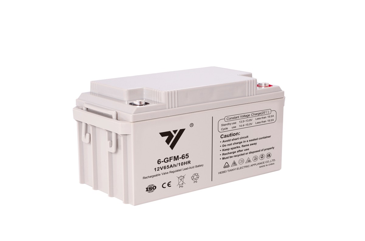 TG 12V65Ah